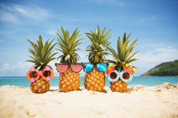 Vakantierooster 2025-2026